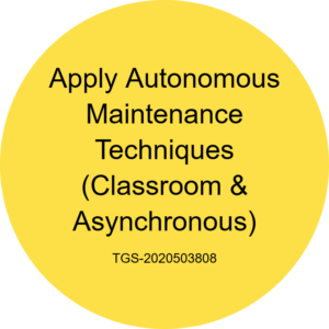 How to stop asset decay by mastering autonomous maintenance techniques?