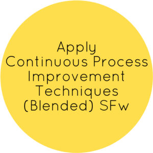 Apply Continuous Process Improvement Techniques (Blended) SFw