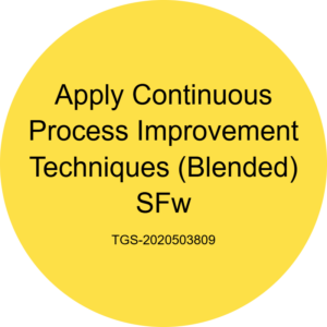 How to evolve from "just doing the job" to continuous process improvement?