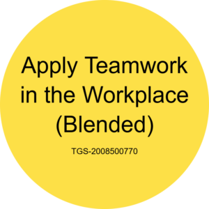 How to boost morale and keep projects on track with effective teamwork?